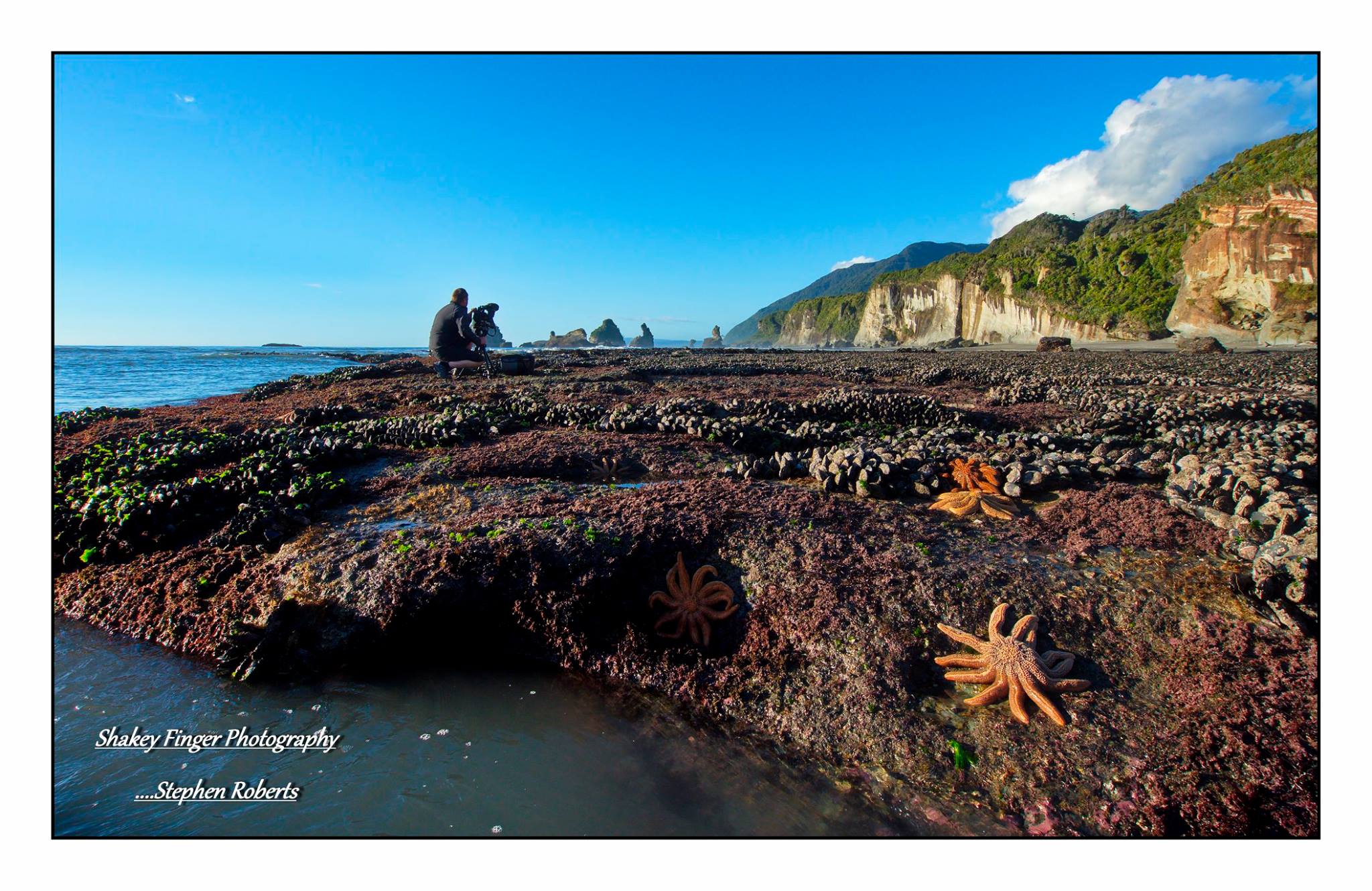 starfish on the rocks at Motukiekie beach