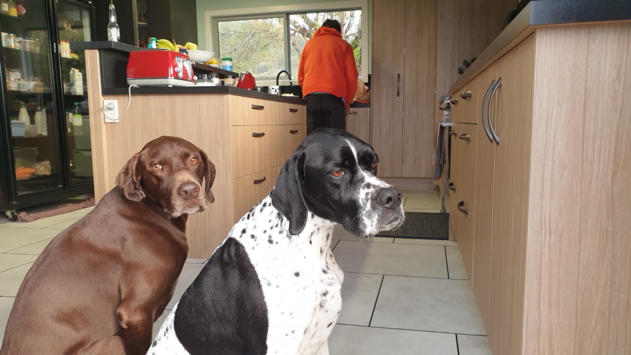 Ansel and Emma in kitchen watching food preparation Breakers Boutique Accommodation West Coast