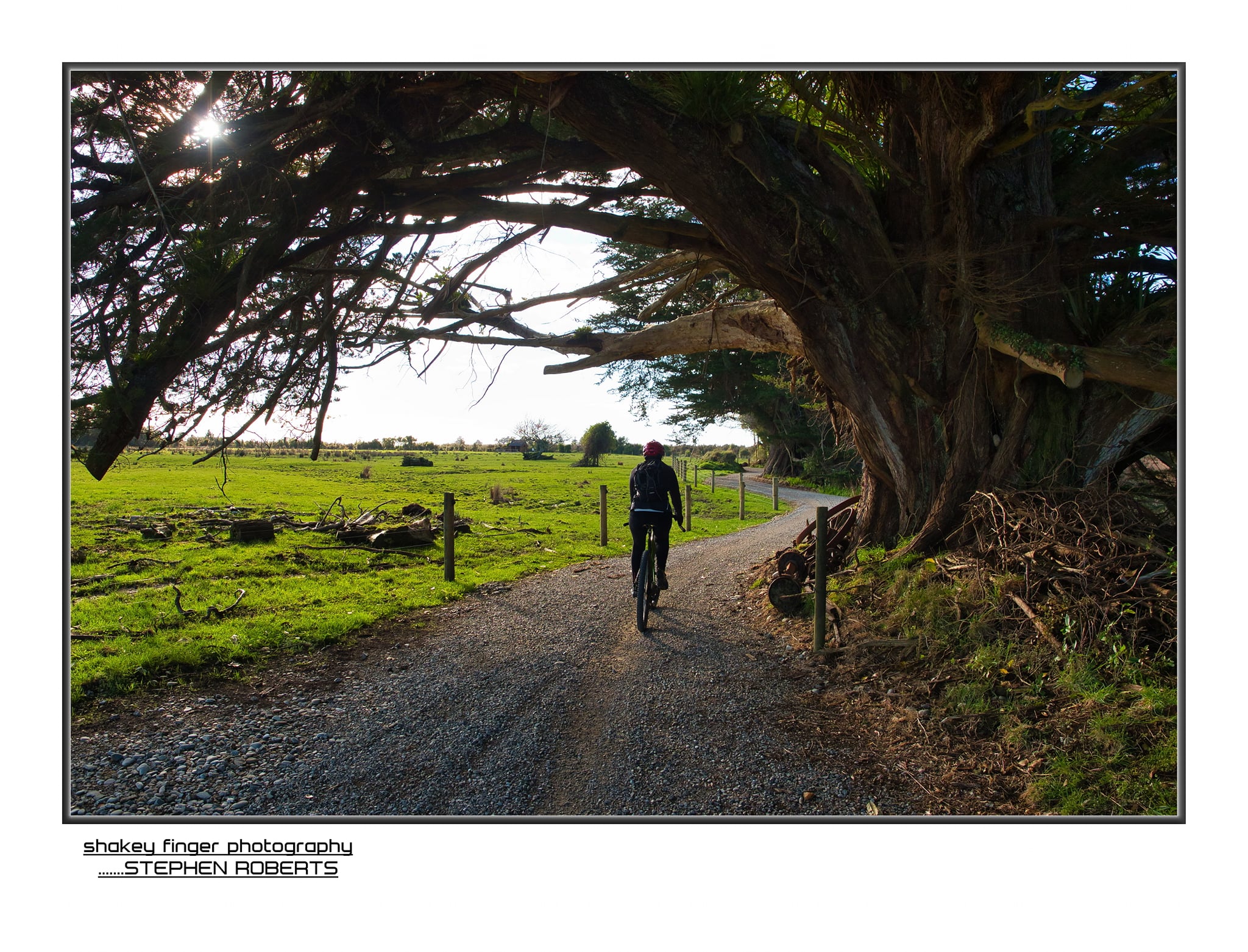 Kawatiri coastal trail along the river and paddocks westport