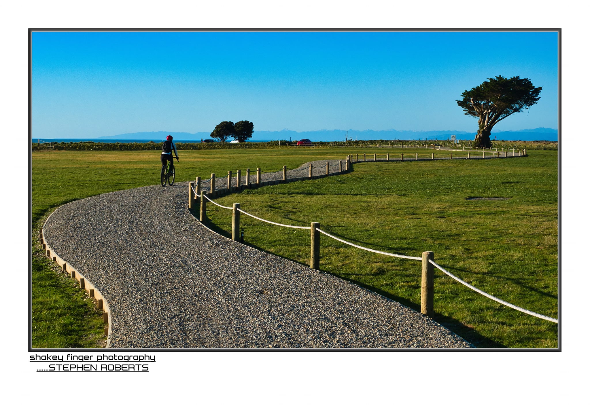 Kawatiri coastal trail through carters beach domain